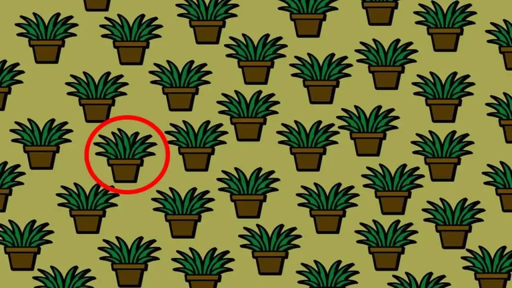 Optical Illusion