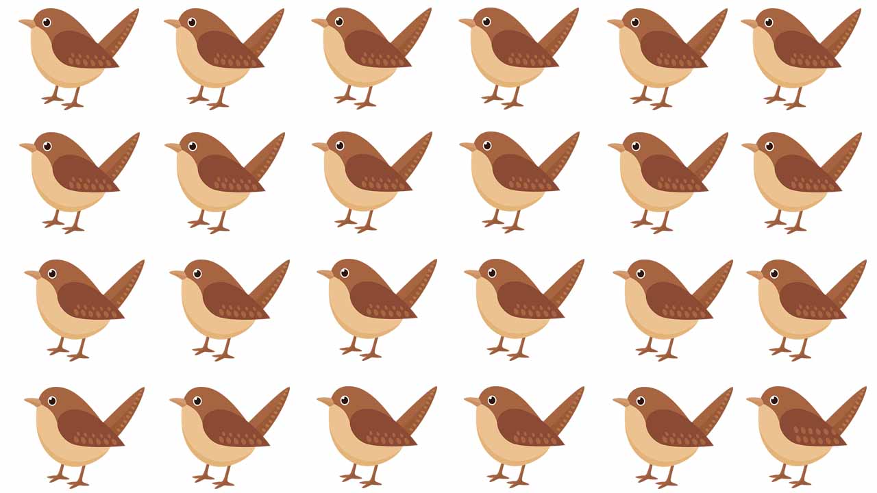 “Optical illusion of multiple sparrows with one odd sparrow hidden among them.”