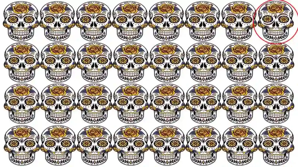 Optical Illusion Find an odd skull