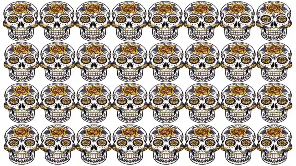 Optical Illusion Find an odd skull
