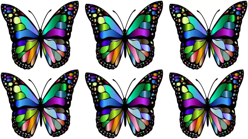 You Can Find The Butterfly Optical Illusion