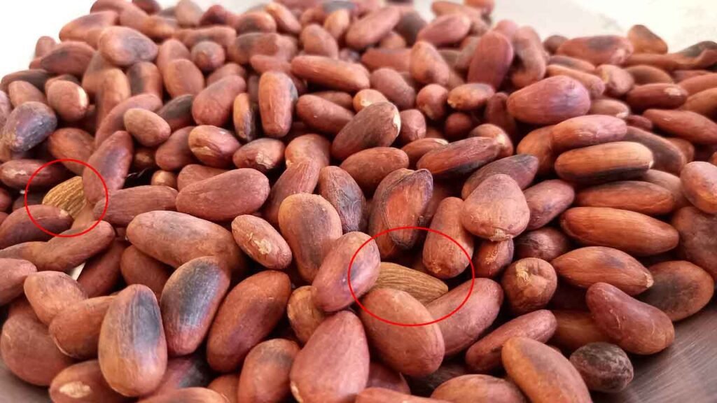 try to find the Almond among the Cocoa beans solution. Optical Illusion