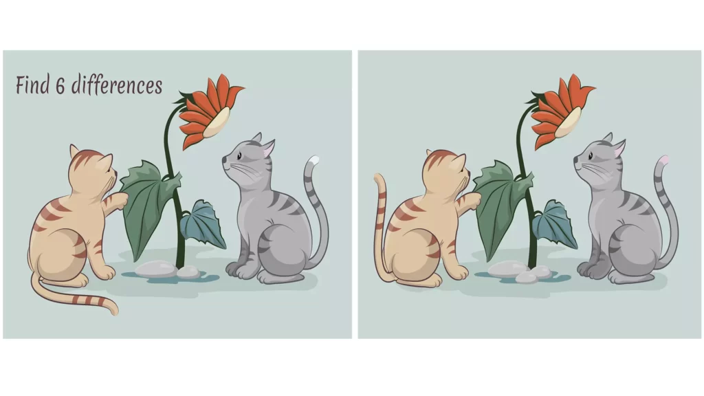 Optical illusion, Find differences