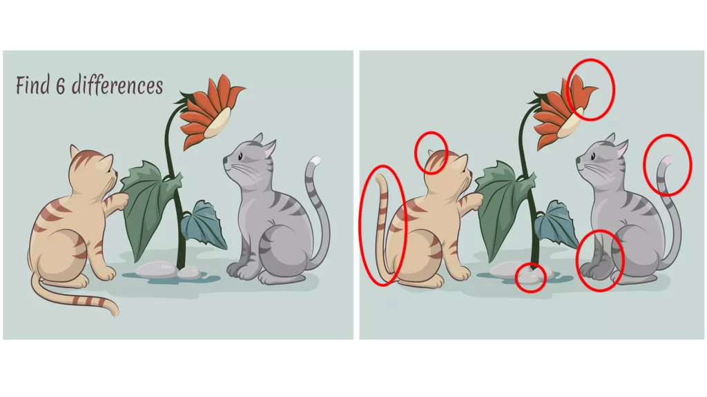 Optical illusion, Find differences