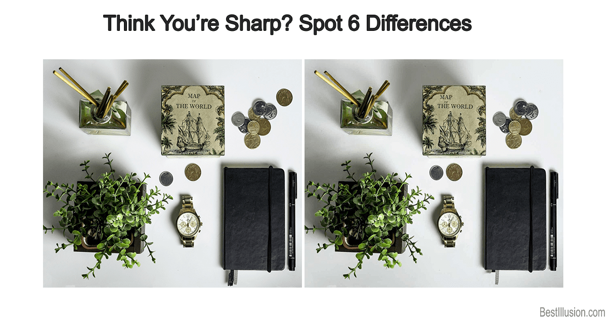 Spot the difference puzzle with 6 hidden changes in the picture.