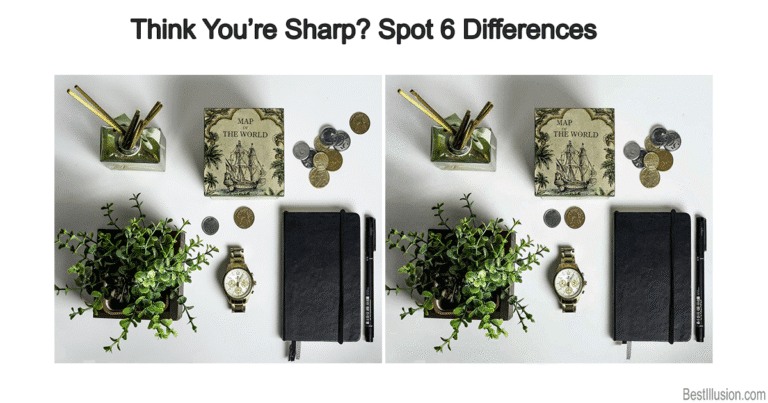 Spot the difference puzzle with 6 hidden changes in the picture.