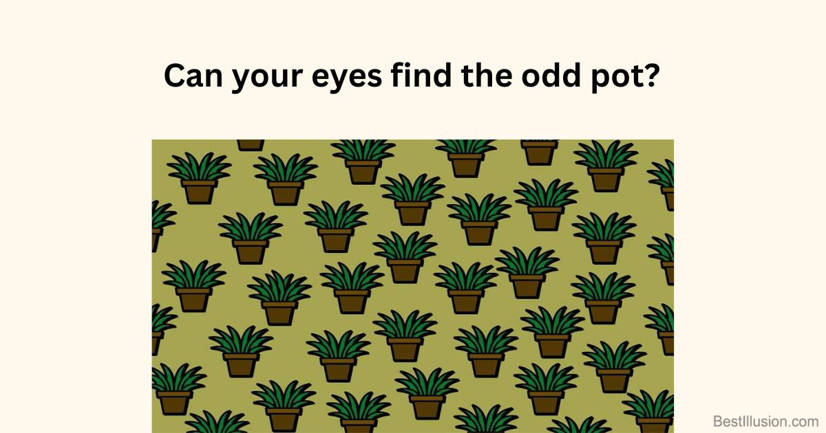 Find the different pot puzzle