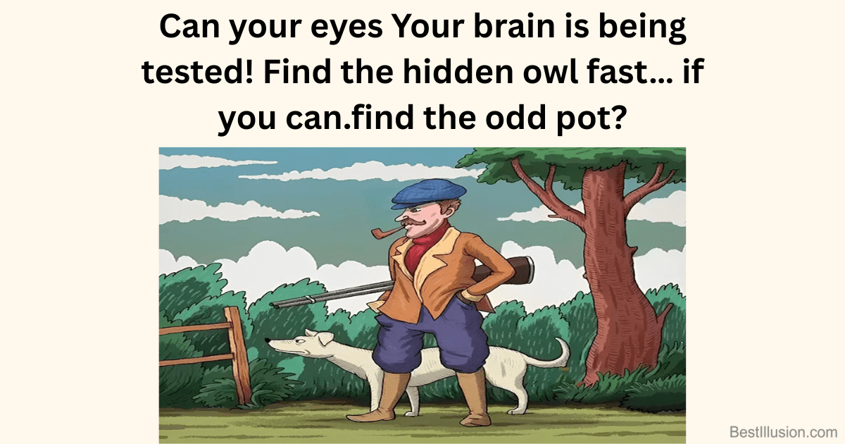 Optical illusion image with a hidden owl camouflaged in the scenery