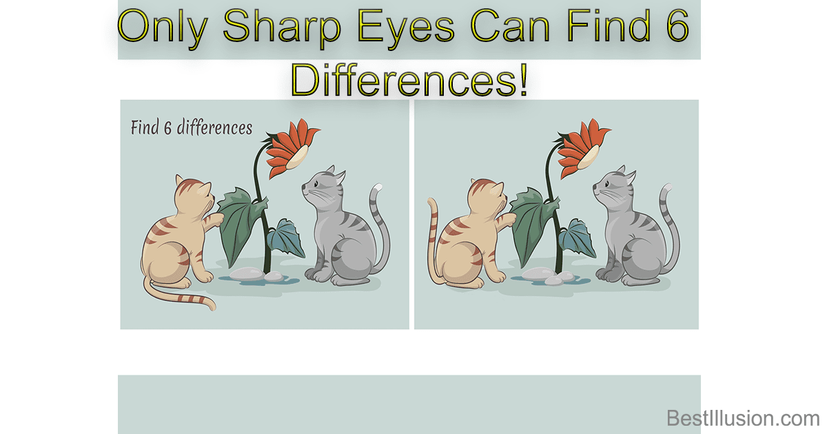 Optical illusion, Find differences