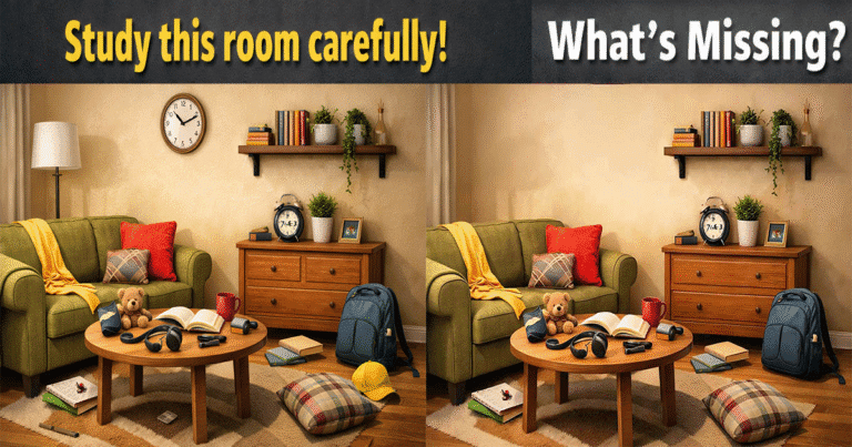 room memory challenge before and after images find what disappeared from living room puzzle
